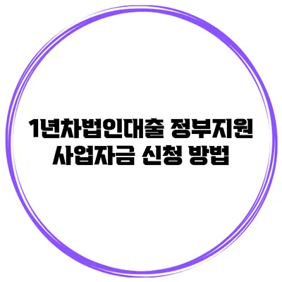 1년차법인대출 정부지원 사업자금 신청 방법