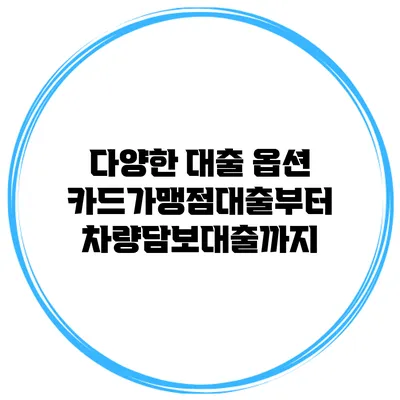 다양한 대출 옵션 카드가맹점대출부터 차량담보대출까지
