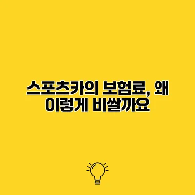 스포츠카의 보험료, 왜 이렇게 비쌀까요?