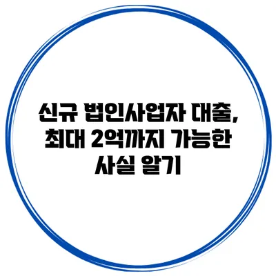 신규 법인사업자 대출, 최대 2억까지 가능한 사실 알기