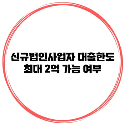 신규법인사업자 대출한도 최대 2억 가능 여부