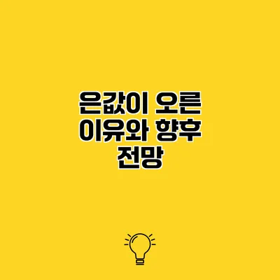 은값이 오른 이유와 향후 전망