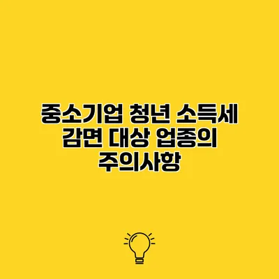 중소기업 청년 소득세 감면 대상 업종의 주의사항