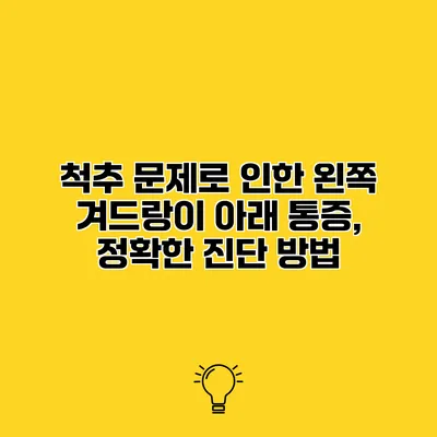 척추 문제로 인한 왼쪽 겨드랑이 아래 통증, 정확한 진단 방법
