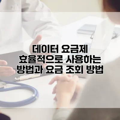 데이터 요금제 효율적으로 사용하는 방법과 요금 조회 방법