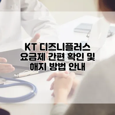KT 디즈니플러스 요금제 간편 확인 및 해지 방법 안내